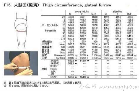 腿围的正确量法,双腿要分开与肩同宽