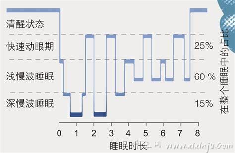 慢波睡眠的特征,思考和睡眠/浅睡眠/中间睡眠环节