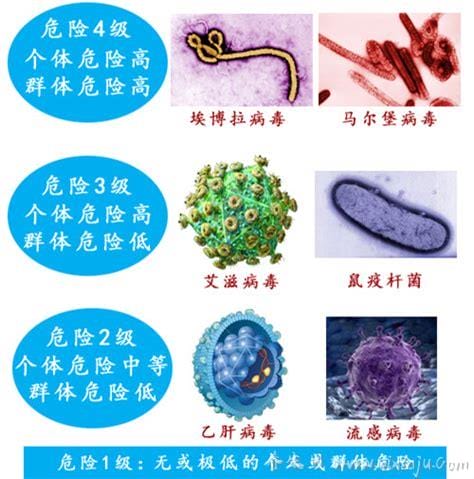 四级病毒有哪些,包括埃博拉病毒、克里米亚刚果出血热病毒、拉沙病毒等