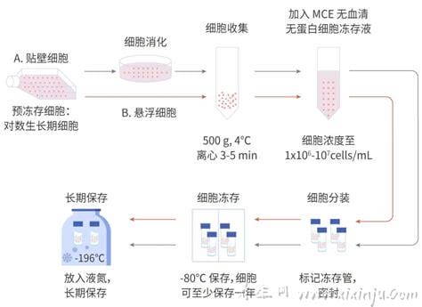 细胞冻存液的配方是什么？