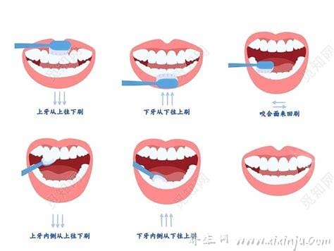 怎么正确清洁口腔,通过早晚刷牙、漱口、定期洗牙来完成