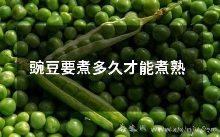 豌豆要煮多久才能熟,新鲜的放锅里煮十分钟就好了