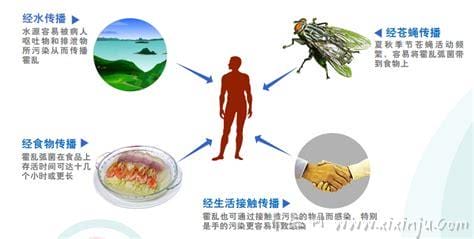 霍乱的传播途径有哪些,可能通过水、食物或接触传播