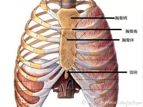 排骨胸是怎么回事,先天性发育不全/缺钙/肋骨生长畸形等