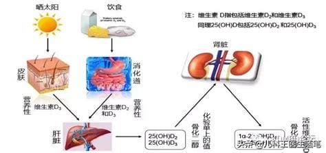 补了一个月维生素D查还是低怎么回事,是紫外线照射太少，饮食不合理造成的