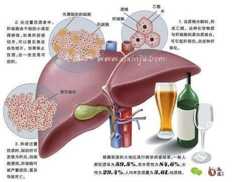 藿香对肝脏的损伤,适当选择藿香