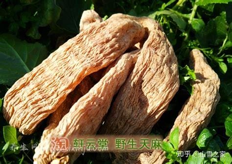 天麻的功效与作用吃法适合多大年龄,活血化瘀/舒筋止痛