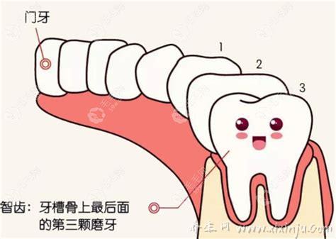 拔智齿多少钱一颗2021价格表,正常是200元