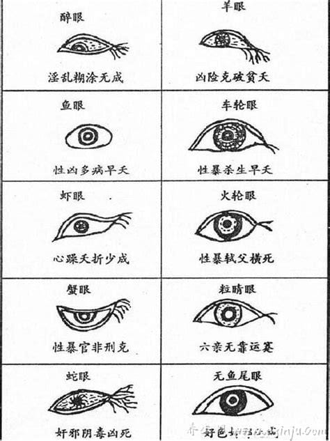 二十种眼形大全图解,柳叶眼最漂亮(但并不常见)