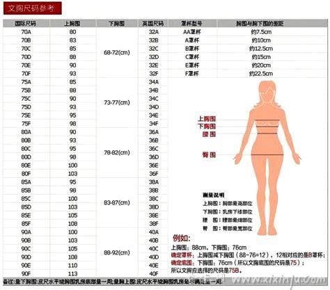 内衣尺寸参照表,罩杯abcd对照表