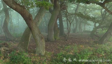 三种人容易得海默症,家族中有人患有海默症的人概率很大