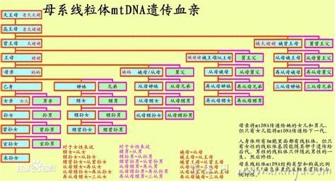 各种亲戚关系称呼表图,过年过节走亲戚称呼表