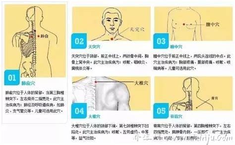 三伏贴贴敷部位图,三伏贴的准确穴位图