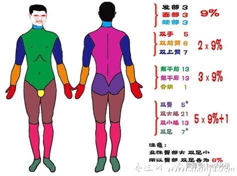 烧伤面积口诀三三三五六七,小编解析数字详细意思