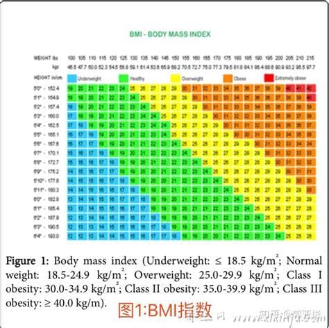 成年女性和成年男性BMI,需要根据不同年龄段来定