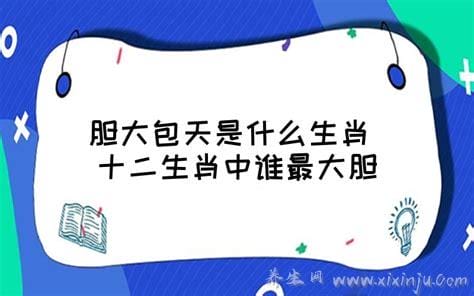 胆大包天是什么生肖,第一名生肖鼠(难以置信的存在)