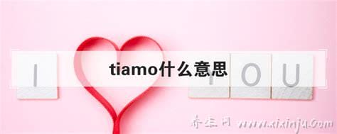 tiamo是什么意思,意大利版本我爱你(文艺表白佳词)