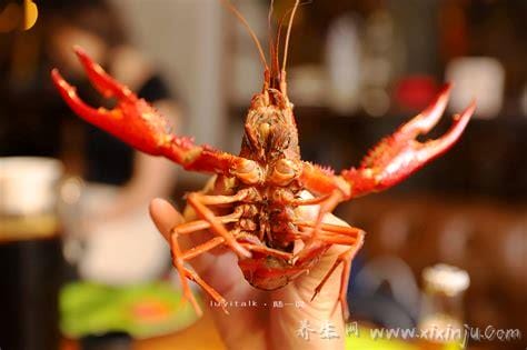 最贵龙虾十大排名,法国蓝龙虾是最贵品种(根本买不到)