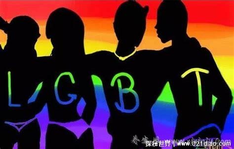 LGBT群体指什么,lgbt群体含义(非异性恋群体)