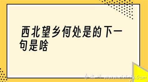 西北望乡何处是的下一句是啥,东南见月几回圆(出自《白氏长庆集》)