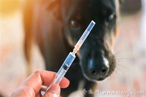 10种情况不需要打狂犬疫苗,疫苗过敏／犬只不带病／轻微皮擦伤