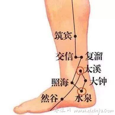 复溜的准确位置图和作用(位置／作用／维护)