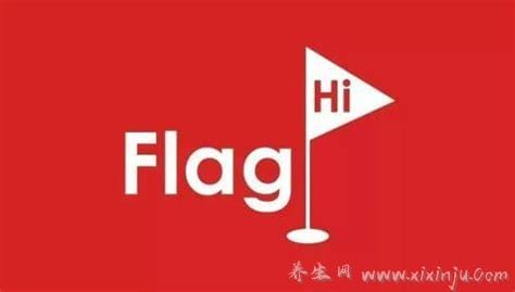 立个flag是立目标吗,目标／动力／坚持