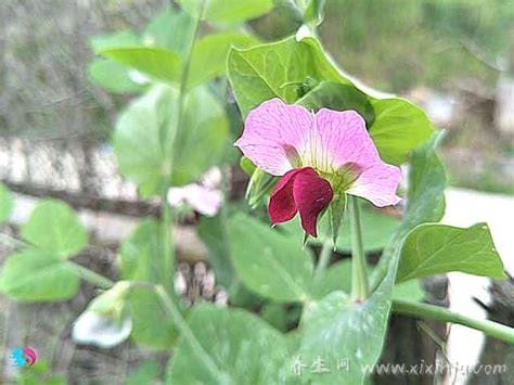 女人在上面该怎么运动要有节奏吗,女性节奏感的重要性／增加情感交流的方式