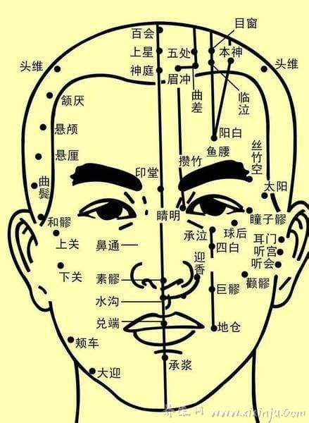 人体面部穴位图及功效作用,常按脸部16个穴位可美容瘦脸