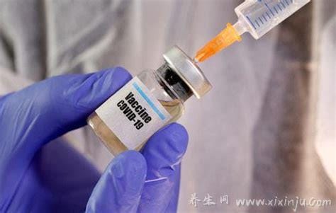 中国疫苗有几种品牌哪种最好,五款疫苗的安全性有效性对比