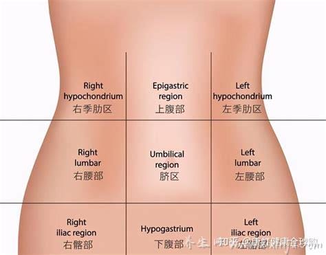 男性左上腹疼痛位置图,腹部疼痛地图告诉你各处疼痛的原因