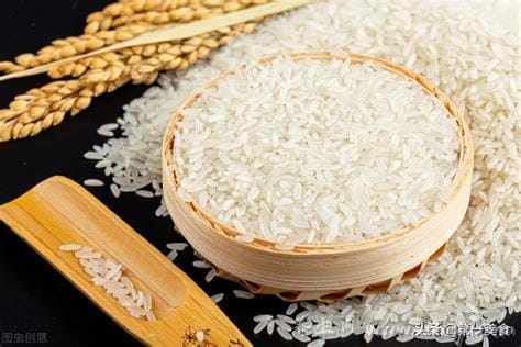 全国最好吃的大米排名前十,慈禧都赞不绝口的五常大米你一定要试试