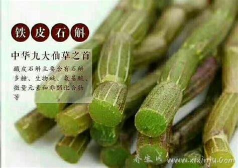 中华九大仙草排名顺序图,百年首乌上榜冬虫夏草只排第八