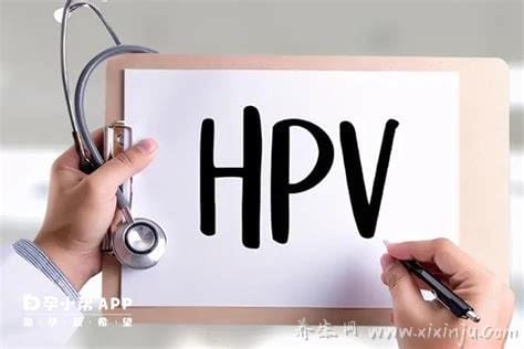 hpv自查的10个方法,检查口腔/咽喉/外阴/肛门等是否有异常病变