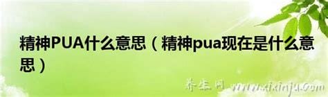 精神pua现在是什么意思,大多是欺骗/伪装/哄骗等