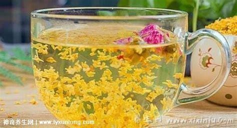 桂花副作用吓人泡水喝竟有6个害处,并没有可怕的副作用