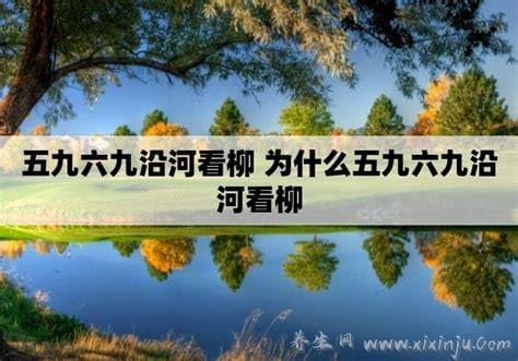 五九六九沿河看柳是什么意思,指大地渐渐回春,柳树发芽