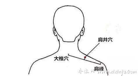 肩井穴的准确位置图及作用功效,治颈椎病/肩背痛和多种乳腺疾病