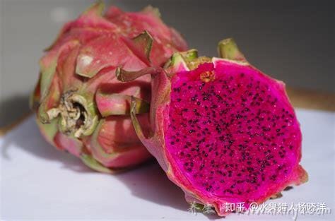 火龙果是仙人掌的果实吗,属近亲但不是同一种植物(附两者对比图)