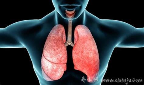 肺在哪个位置图疼痛位置图解,覆盖在心脏上面左右各一个