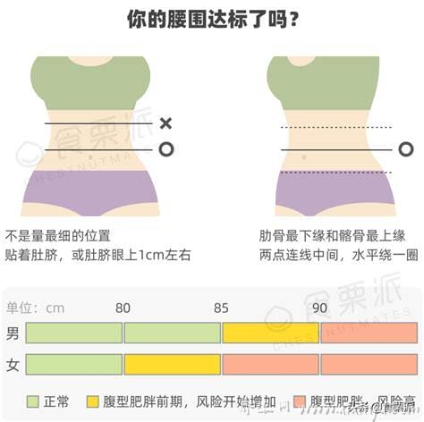 腰围尺码表对照图换算厘米图,27的裤子腰围2尺/68厘米(附罩杯大小)