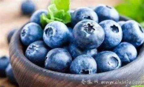 杜松子和蓝莓的区别,杜松子的功效与作用及禁忌