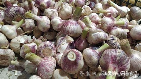 大蒜怎么保存不发芽,0到5℃冰箱冷藏/密封罐保存等5种方法