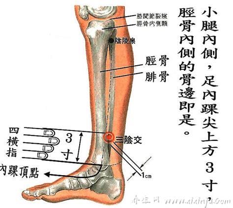 准确三阴焦位置图和作用,在脚踝上面四指的距离(附按摩视频)