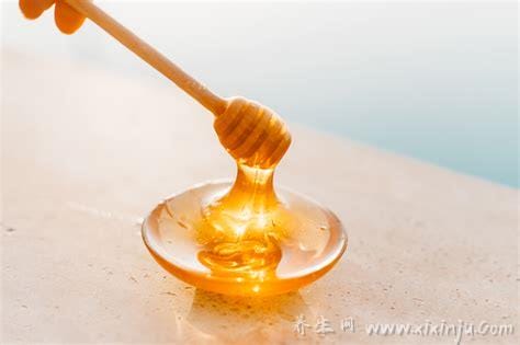 酸枣花蜂蜜的作用与功效(枣花蜂蜜的功效与作用及禁忌症蜜的功效)