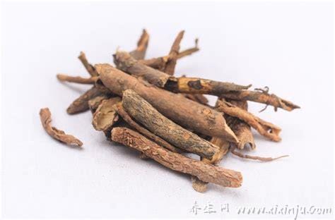 五加皮茶的功效和作用及食用方法(五加皮茶的功效与作用)