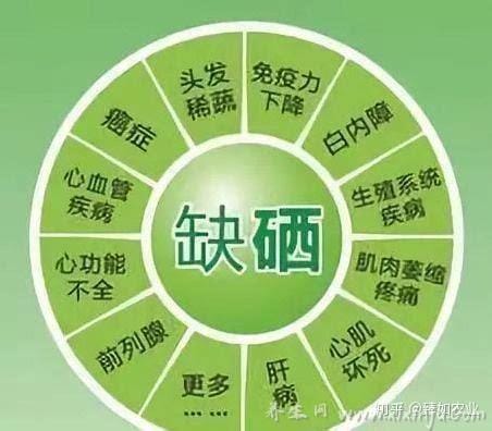 酵母硒的功效与作用(酵母硒的功效与作用ppt)