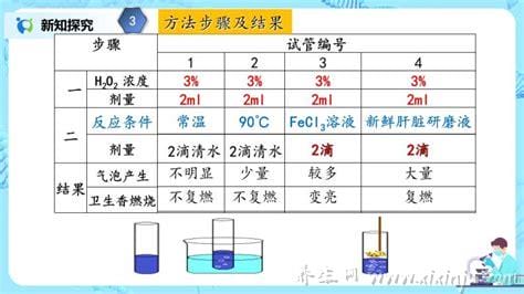 消化酶的作用与本质(消化酶的本质是什么)