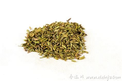 中药茴香功效与作用(茴香药的功效与作用)