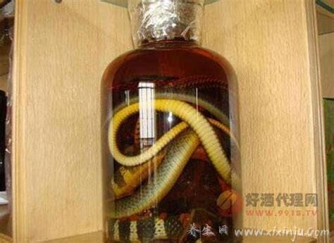 蛇泡的酒有什么功效和作用是什么(蛇泡酒有什么用处)